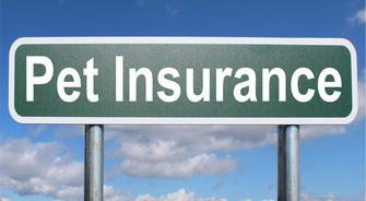 Protect Your Furry Family: Why Pet Insurance Is Becoming Essential for American Pet Owners