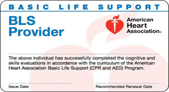 Why Every American Should Consider a BLS Certification Today